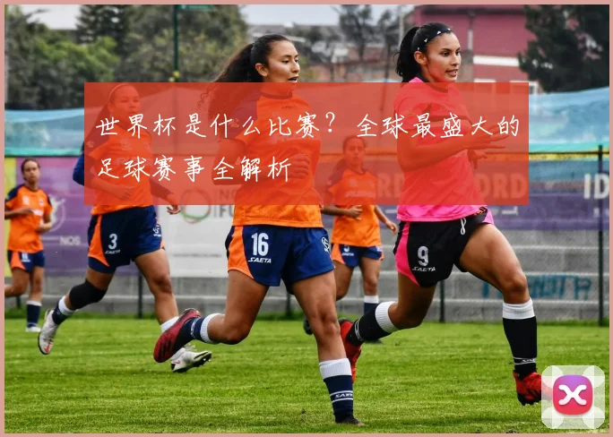 世界杯是什么比赛？全球最盛大的足球赛事全解析